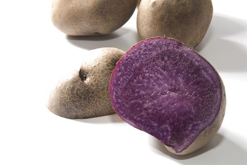 Guillermo Valencia Chef & Restaurateur