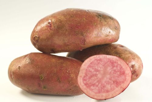 Guillermo Valencia Chef & Restaurateur