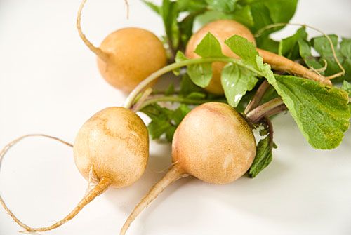 Guillermo Valencia Chef & Restaurateur