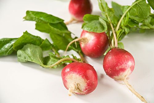 Guillermo Valencia Chef & Restaurateur