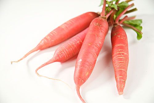 Guillermo Valencia Chef & Restaurateur