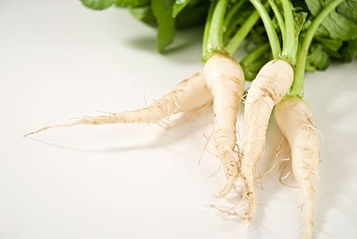 Guillermo Valencia Chef & Restaurateur