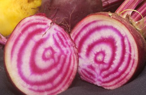 Guillermo Valencia Chef & Restaurateur