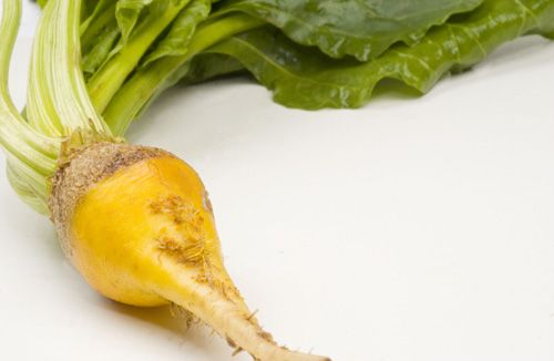 Guillermo Valencia Chef & Restaurateur