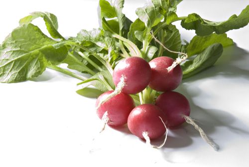 Guillermo Valencia Chef & Restaurateur