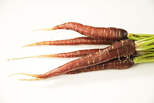 Guillermo Valencia Chef & Restaurateur