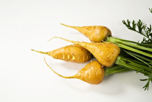 Guillermo Valencia Chef & Restaurateur