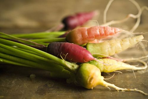 Guillermo Valencia Chef & Restaurateur