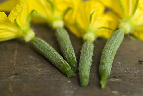 Guillermo Valencia Chef & Restaurateur