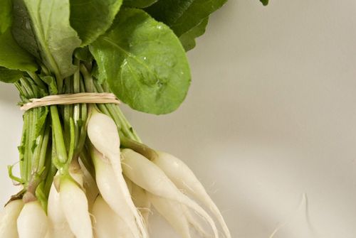 Guillermo Valencia Chef & Restaurateur