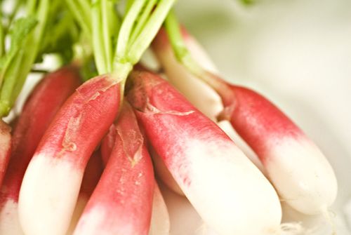 Guillermo Valencia Chef & Restaurateur