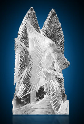 Guillermo Valencia Chef & Restaurateur