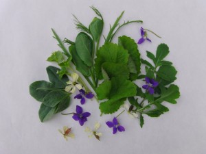 Guillermo Valencia Chef & Restaurateur