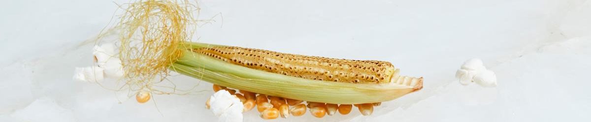 Guillermo Valencia Chef & Restaurateur